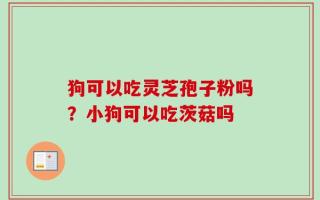 狗可以吃灵芝孢子粉吗？小狗可以吃茨菇吗
