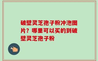 破壁灵芝孢子粉冲泡图片？哪里可以买的到破壁灵芝孢子粉