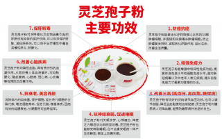破壁灵芝孢子粉的功效和作用是怎样的？