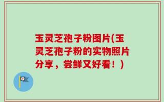 玉灵芝孢子粉图片(玉灵芝孢子粉的实物照片分享，尝鲜又好看！)