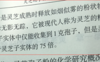 灵芝好还是灵芝孢子粉好？作用差距有多大？