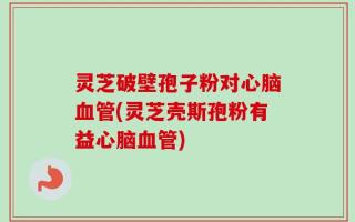 灵芝破壁孢子粉对心脑血管(灵芝壳斯孢粉有益心脑血管)