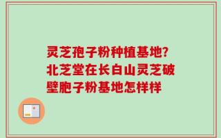 灵芝孢子粉种植基地？北芝堂在长白山灵芝破壁胞子粉基地怎样样