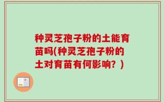 种灵芝孢子粉的土能育苗吗(种灵芝孢子粉的土对育苗有何影响？)