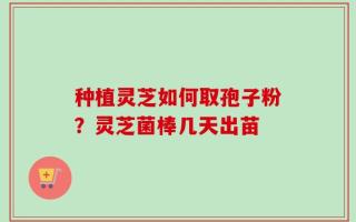 种植灵芝如何取孢子粉？灵芝菌棒几天出苗