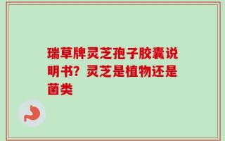 瑞草牌灵芝孢子胶囊说明书？灵芝是植物还是菌类