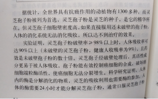 灵芝孢子粉对肺癌有效吗？能起到什么作用？