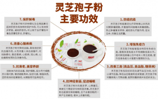 二十岁能吃灵芝孢子粉吗？有什么作用？
