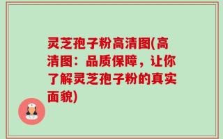 灵芝孢子粉高清图(高清图：品质保障，让你了解灵芝孢子粉的真实面貌)