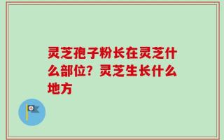 灵芝孢子粉长在灵芝什么部位？灵芝生长什么地方