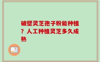 破壁灵芝孢子粉能种植？人工种植灵芝多久成熟