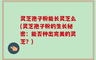 灵芝孢子粉能长灵芝么(灵芝孢子粉的生长秘密：能否种出完美的灵芝？)