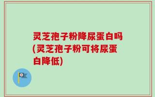 灵芝孢子粉降尿蛋白吗(灵芝孢子粉可将尿蛋白降低)
