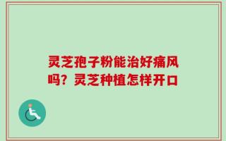 灵芝孢子粉能治好痛风吗？灵芝种植怎样开口