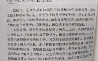 肺癌能喝灵芝孢子粉吗？能起到哪些作用？