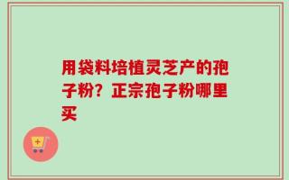 用袋料培植灵芝产的孢子粉？正宗孢子粉哪里买