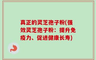 真正的灵芝孢子粉(强效灵芝孢子粉：提升免疫力、促进健康长寿)