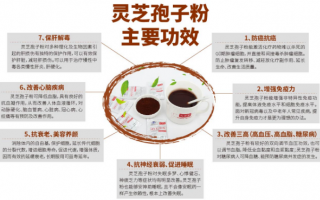三七好还是灵芝孢子粉好？日常保健买哪个？