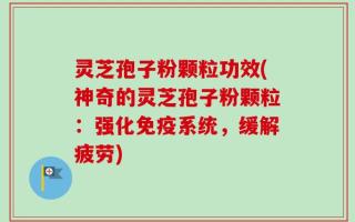 灵芝孢子粉颗粒功效(神奇的灵芝孢子粉颗粒：强化免疫系统，缓解疲劳)