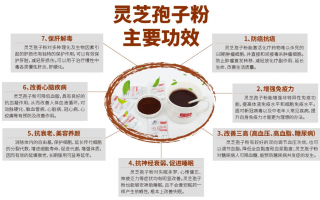 长期喝灵芝孢子粉的好处都有哪些？它很适合为健康护航