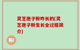 灵芝孢子粉咋长的(灵芝孢子粉生长全过程简介)