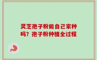 灵芝孢子粉能自己家种吗？孢子粉种植全过程