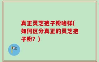 真正灵芝孢子粉啥样(如何区分真正的灵芝孢子粉？)
