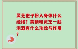 灵芝孢子粉入身体什么经络？黄精和灵芝一起泡酒有什么功效与作用？