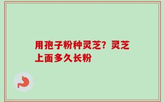 用孢子粉种灵芝？灵芝上面多久长粉