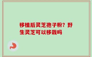 移植后灵芝孢子粉？野生灵芝可以移栽吗