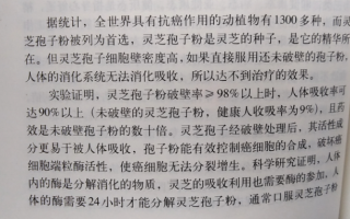 灵芝孢子粉的作用对肺病有用吗？它比灵芝更有效