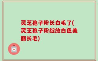 灵芝孢子粉长白毛了(灵芝孢子粉绽放白色美丽长毛)