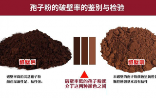 灵芝孢子粉破没破壁怎么辨别？有一个方法很简单