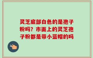 灵芝底部白色的是孢子粉吗？市面上的灵芝孢子粉都是带小蓝帽的吗