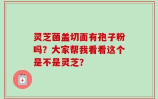 灵芝菌盖切面有孢子粉吗？大家帮我看看这个是不是灵芝？