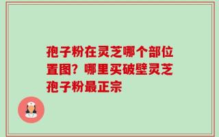 孢子粉在灵芝哪个部位置图？哪里买破壁灵芝孢子粉最正宗