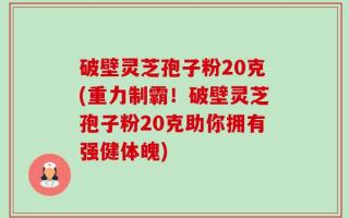 破壁灵芝孢子粉20克(重力制霸！破壁灵芝孢子粉20克助你拥有强健体魄)