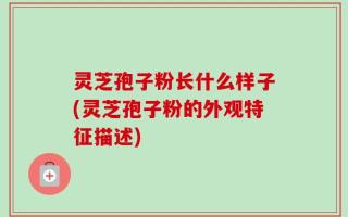 灵芝孢子粉长什么样子(灵芝孢子粉的外观特征描述)