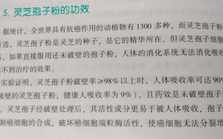 直肠癌化疗期间吃什么？可以尝试一下这些