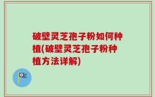 破壁灵芝孢子粉如何种植(破壁灵芝孢子粉种植方法详解)