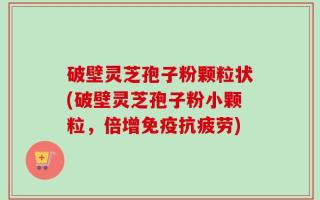 破壁灵芝孢子粉颗粒状(破壁灵芝孢子粉小颗粒，倍增免疫抗疲劳)