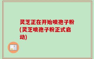 灵芝正在开始喷孢子粉(灵芝喷孢子粉正式启动)