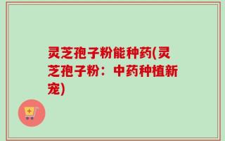 灵芝孢子粉能种药(灵芝孢子粉：中药种植新宠)
