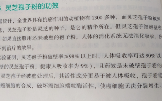化疗期间吃什么补品有利于白细胞增加？