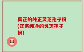 真正的纯正灵芝孢子粉(正宗纯净的灵芝孢子粉)