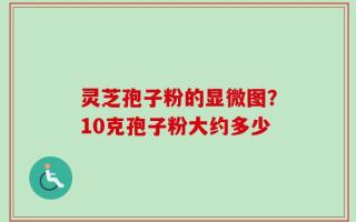灵芝孢子粉的显微图？10克孢子粉大约多少