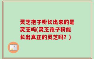 灵芝孢子粉长出来的是灵芝吗(灵芝孢子粉能长出真正的灵芝吗？)
