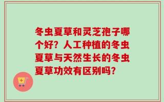 冬虫夏草和灵芝孢子哪个好？人工种植的冬虫夏草与天然生长的冬虫夏草功效有区别吗？