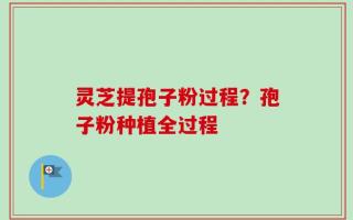 灵芝提孢子粉过程？孢子粉种植全过程