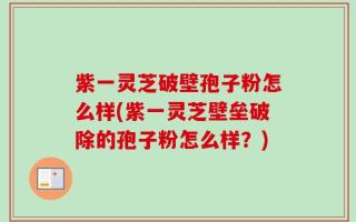 紫一灵芝破壁孢子粉怎么样(紫一灵芝壁垒破除的孢子粉怎么样？)